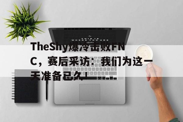 TheShy爆冷击败FNC，赛后采访：我们为这一天准备已久！-平博下载